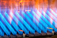 Borrowston gas fired boilers